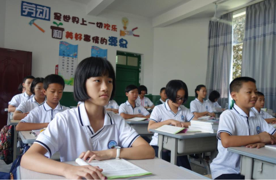 第423页